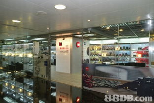 全方位攝影服務(wù)指南 從婚紗到家庭，捕捉每個珍貴瞬間