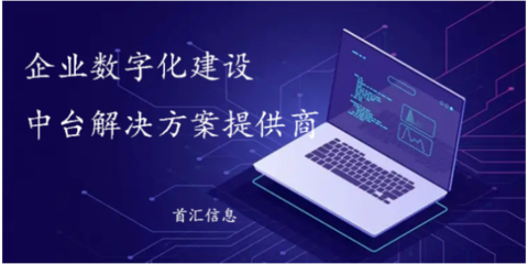 湖南中小企業(yè)信息化服務(wù) 首匯信息的專(zhuān)業(yè)供應(yīng)與互聯(lián)網(wǎng)信息咨詢
